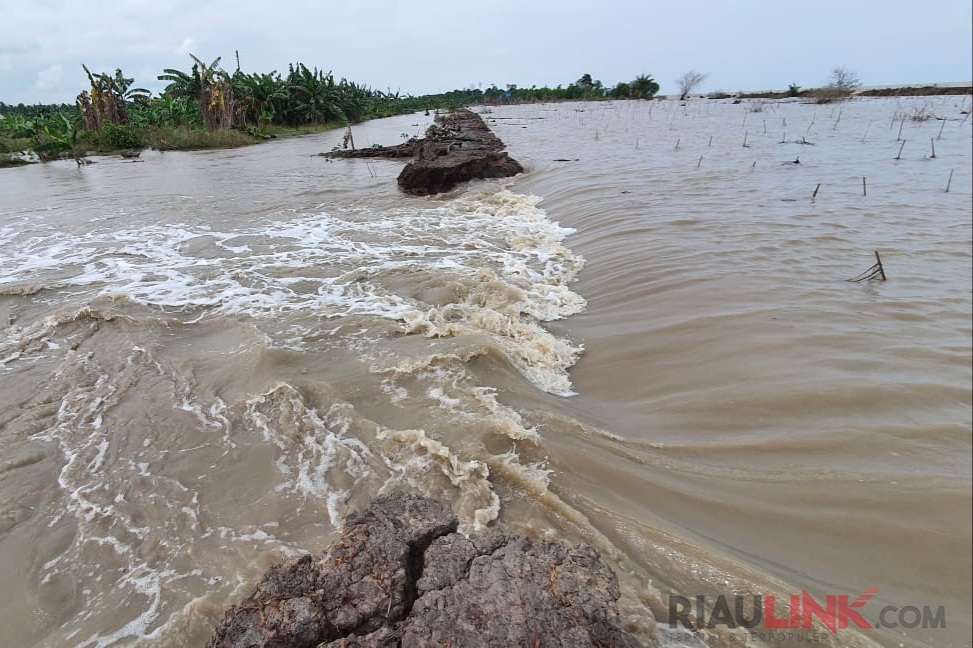 Banjir Rob Hingga Gelombang Tinggi Ancam Perekonomian Warga Kuala Selat